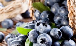 Golden State Fruit Orchard