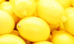 Golden State Fruit Orchard Delight and Gourmet Gift